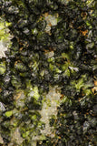 09113 - Slender Grass Green Epidote Crystals on Matrix Imilchil Mine Morocco