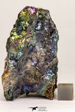 09115 - Top Beautiful 2.99 Inch Chalcopyrite Crystals - South Morocco