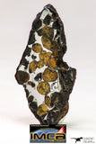 09152 - Sericho Pallasite Meteorite Polished Section Fell in Kenya 24 g