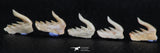 06408 - Great Collection of 5 Weltonia ancistrodon Shark Teeth Paleocene