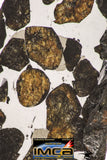 09153 - Sericho Pallasite Meteorite Polished Section Fell in Kenya 18.6 g