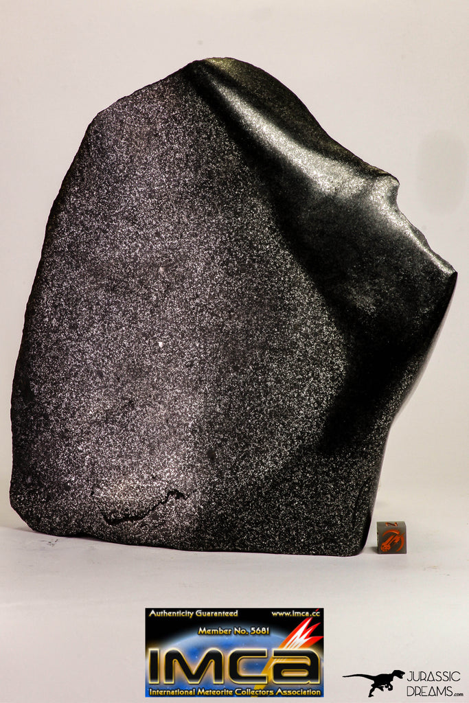 09162 - NWA 13290 3705 g Polished Endcut