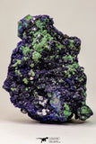 09166 - Beautiful 4.24 Inch Azurite Cristals + Malachite Cristals - Alnif (South Morocco)
