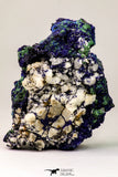 09166 - Beautiful 4.24 Inch Azurite Cristals + Malachite Cristals - Alnif (South Morocco)