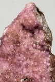 09169 - Top Beautiful 4.25 Inch Pink Cobaltoan Calcite Crystals on Matrix - Bou Azzer Mine (South Morocco)