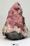 09169 - Top Beautiful 4.25 Inch Pink Cobaltoan Calcite Crystals on Matrix - Bou Azzer Mine (South Morocco)