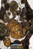 09179 - Sericho Pallasite Meteorite Polished Section Fell in Kenya 17.6 g