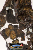 09179 - Sericho Pallasite Meteorite Polished Section Fell in Kenya 17.6 g