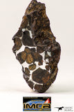 09179 - Sericho Pallasite Meteorite Polished Section Fell in Kenya 17.6 g