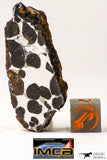 09180 - Sericho Pallasite Meteorite Polished Section Fell in Kenya 14.3 g