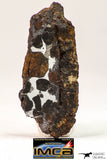 09180 - Sericho Pallasite Meteorite Polished Section Fell in Kenya 14.3 g