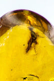 09182 - Beautiful 0.74 Inch Baltic Amber With An Inclusion Of Fossil Insect (Diptera- Dolichopodidae Fly)