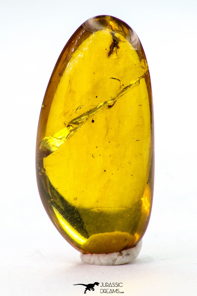 09182 - Beautiful 0.74 Inch Baltic Amber With An Inclusion Of Fossil Insect (Diptera- Dolichopodidae Fly)