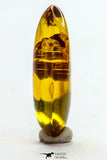 09182 - Beautiful 0.74 Inch Baltic Amber With An Inclusion Of Fossil Insect (Diptera- Dolichopodidae Fly)