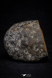 20997-184 - NWA Iron Meteorite. In study. 210g