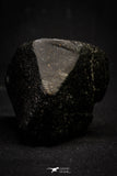 20999-59 - NWA Possible Achondrite Meteorite Porphyritic Basalt. In study. 192 g