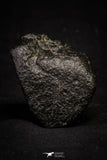 20999-59 - NWA Possible Achondrite Meteorite Porphyritic Basalt. In study. 192 g