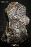 07011 - Taza (NWA 859) Iron Ungrouped Plessitic Octahedrite Meteorite 12.4g ORIENTED