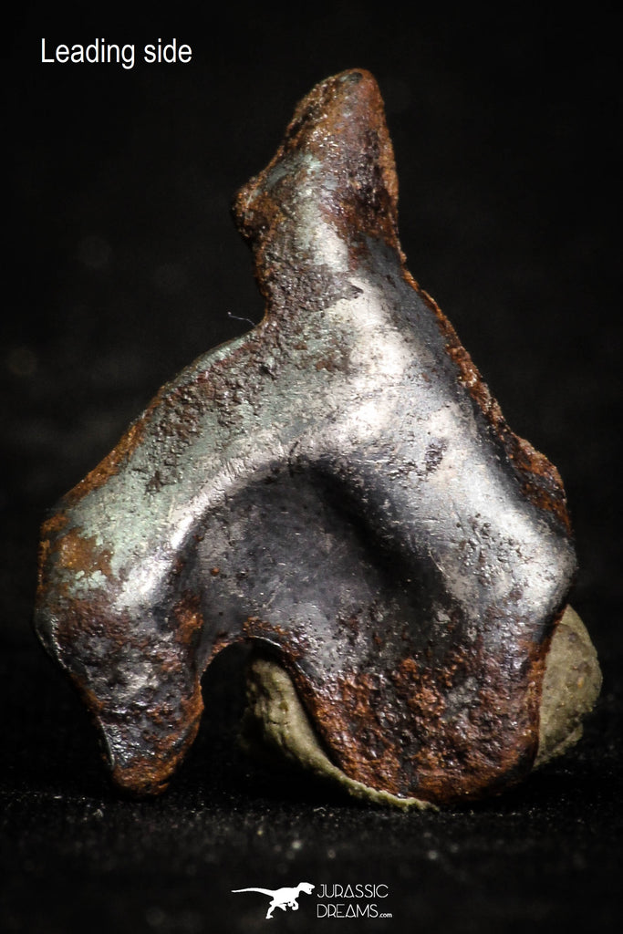 07012 - Taza (NWA 859) Iron Ungrouped Plessitic Octahedrite Meteorite 5.3g ORIENTED