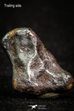 07013 - Taza (NWA 859) Iron Ungrouped Plessitic Octahedrite Meteorite 7.7g ORIENTED