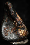 05284 - Taza (NWA 859) Iron Ungrouped Plessitic Octahedrite Meteorite 0.4g ORIENTED