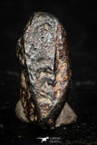 05285 - Taza (NWA 859) Iron Ungrouped Plessitic Octahedrite Meteorite 0.8g