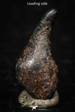 05288 - Taza (NWA 859) Iron Ungrouped Plessitic Octahedrite Meteorite 0.6g ORIENTED