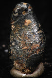 05291 - Taza (NWA 859) Iron Ungrouped Plessitic Octahedrite Meteorite 0.8g