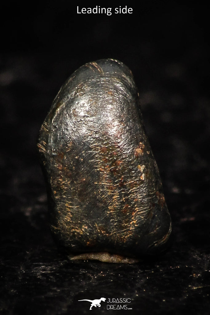 05293 - Taza (NWA 859) Iron Ungrouped Plessitic Octahedrite Meteorite 0.5g ORIENTED