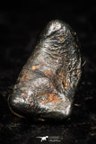 05293 - Taza (NWA 859) Iron Ungrouped Plessitic Octahedrite Meteorite 0.5g ORIENTED