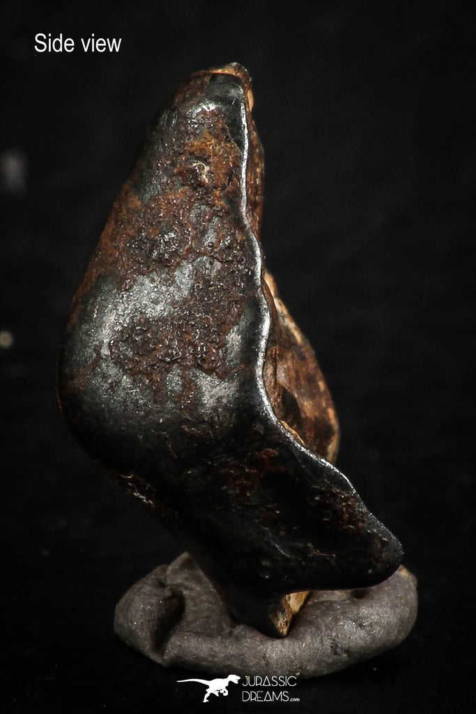 07106 - Taza (NWA 859) Iron Ungrouped Plessitic Octahedrite Meteorite 6.3g ORIENTED