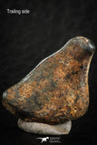07107 - Taza (NWA 859) Iron Ungrouped Plessitic Octahedrite Meteorite 5.1g ORIENTED