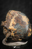 07108 - Taza (NWA 859) Iron Ungrouped Plessitic Octahedrite Meteorite 4.5g ORIENTED