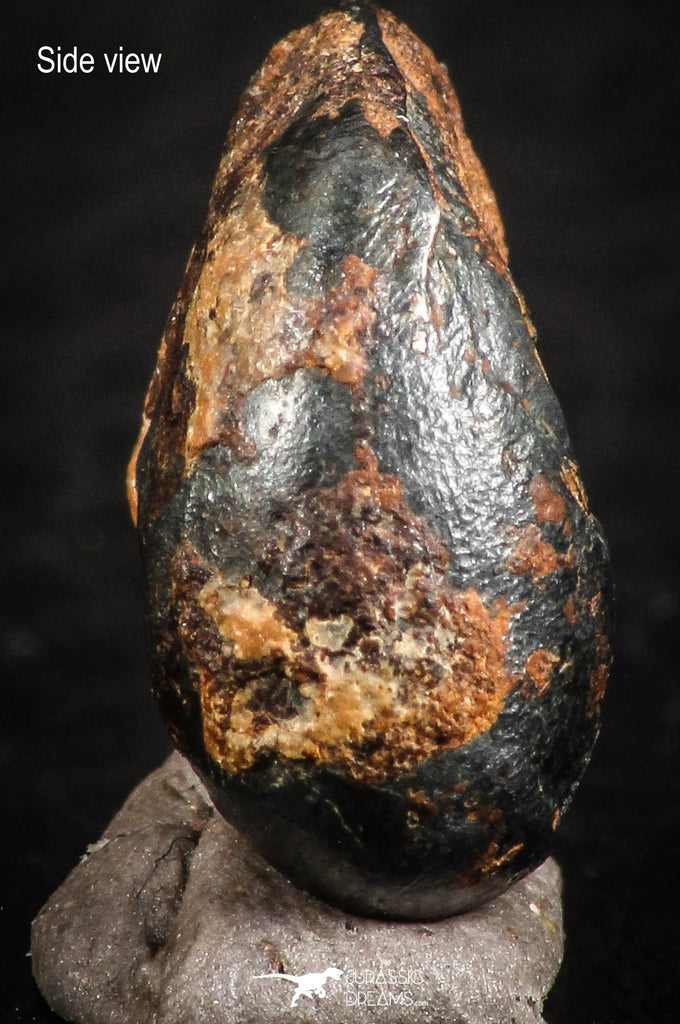 07108 - Taza (NWA 859) Iron Ungrouped Plessitic Octahedrite Meteorite 4.5g ORIENTED