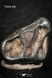 07112 - Taza (NWA 859) Iron Ungrouped Plessitic Octahedrite Meteorite 4.4g ORIENTED