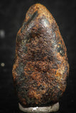07113 - Taza (NWA 859) Iron Ungrouped Plessitic Octahedrite Meteorite 5.1g