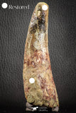 07134 - Top Huge Restored 4.72 Inch Spinosaurus Dinosaur Tooth Cretaceous