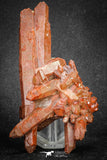 20078 - Top Beautiful 3.83 Inch Natural Red Iron-Oxide Coated Quartz Crystals Cluster
