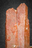 20078 - Top Beautiful 3.83 Inch Natural Red Iron-Oxide Coated Quartz Crystals Cluster