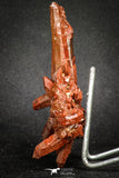 20078 - Top Beautiful 3.83 Inch Natural Red Iron-Oxide Coated Quartz Crystals Cluster