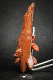 20078 - Top Beautiful 3.83 Inch Natural Red Iron-Oxide Coated Quartz Crystals Cluster