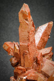 20079 - Top Beautiful 4.46 Inch Natural Red Iron-Oxide Coated Quartz Crystals Cluster