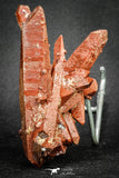 20079 - Top Beautiful 4.46 Inch Natural Red Iron-Oxide Coated Quartz Crystals Cluster