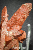 20079 - Top Beautiful 4.46 Inch Natural Red Iron-Oxide Coated Quartz Crystals Cluster