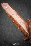 20079 - Top Beautiful 4.46 Inch Natural Red Iron-Oxide Coated Quartz Crystals Cluster