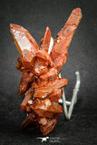 20079 - Top Beautiful 4.46 Inch Natural Red Iron-Oxide Coated Quartz Crystals Cluster