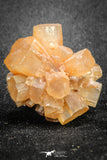 20082 - Nice 1.34 Inch Aragonite Twinned Crystal Cluster - Safro Mine, Bou Azzer, Morocco