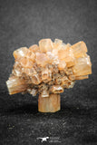 20083 - Nice 1.59 Inch Aragonite Twinned Crystal Cluster - Safro Mine, Bou Azzer, Morocco