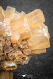 20083 - Nice 1.59 Inch Aragonite Twinned Crystal Cluster - Safro Mine, Bou Azzer, Morocco