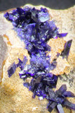 20092 - Beautiful Deep Blue Azurite Crystals on Carbonate Matrix - Kerrouchen (Morocco)